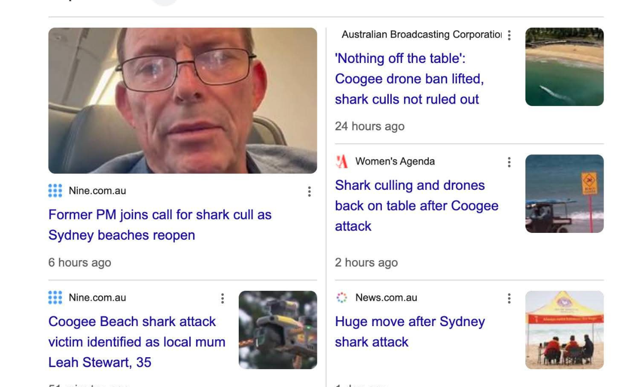 FOUR FEMICIDES IN ONE WEEK BUT LET’S TALK ABOUT SHARK ATTACKS