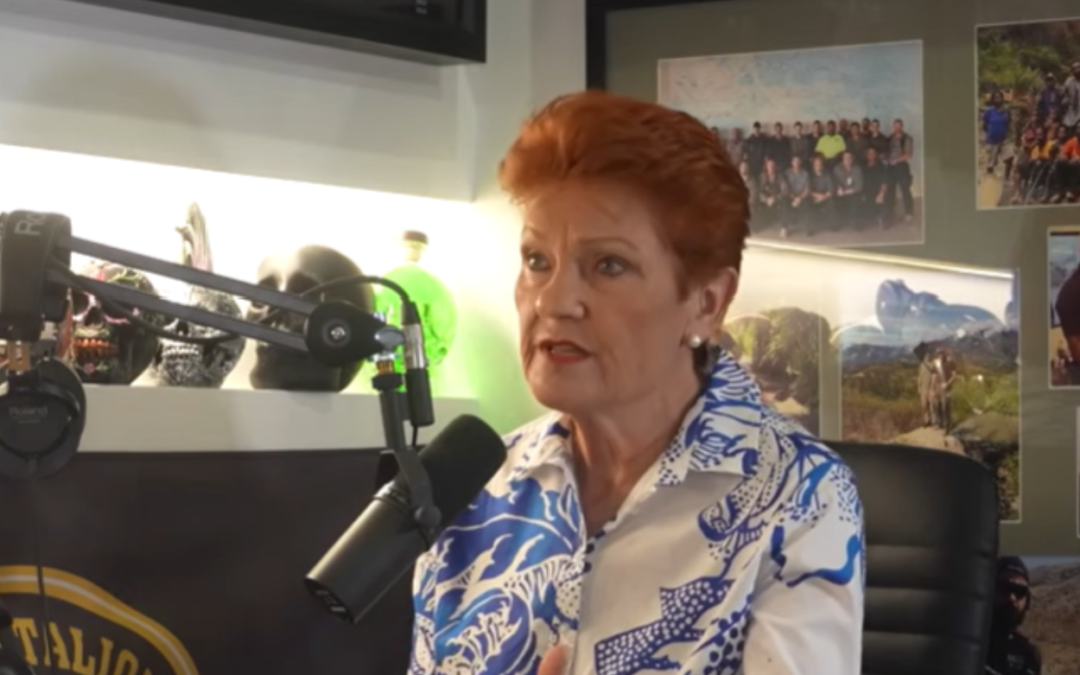 PAULINE HANSON SAYS DOMESTIC VIOLENCE IS NOT A REAL CRIME