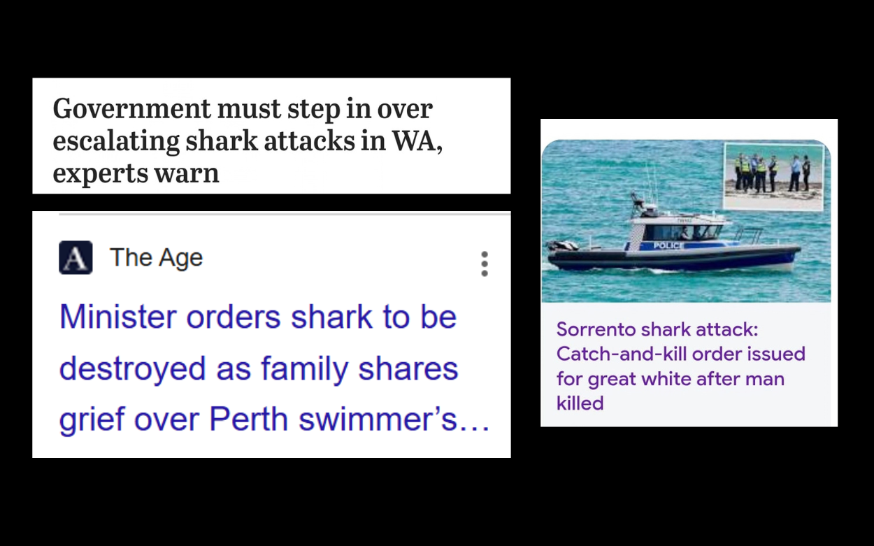 A SHARK KILLED ONE MAN. MEN KILLED THREE WOMEN. ONLY ONE GETS THE OUTRAGE